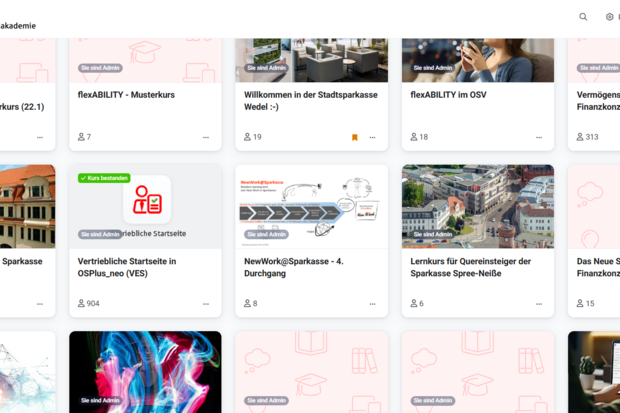 Ein Screenshot der Lernplattform Blink.it